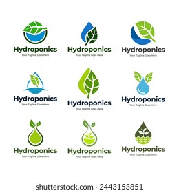 Hydroponics icon Logo Concept, flat design vector isolated white background.