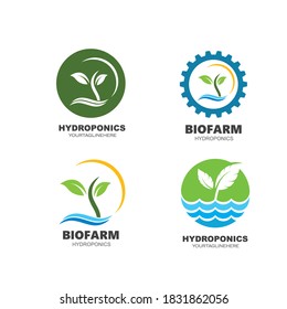 hydroponics icon vector illustration design template