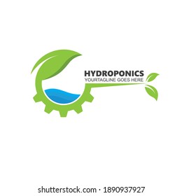 hydroponics icon vector illustration design template