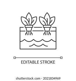 Hydroponics linear icon. Grow plants without soil. Farming herbs and vegetables in water. Thin line customizable illustration. Contour symbol. Vector isolated outline drawing. Editable stroke