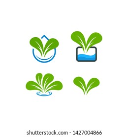 Hydroponics logo template, health food icon design - vector