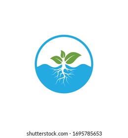 plantilla de diseño de ilustraciones vectoriales del logotipo hidroponico