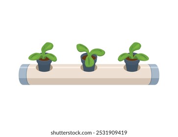 Planta hidropónica instalada en tubería. Ilustración plana simple.