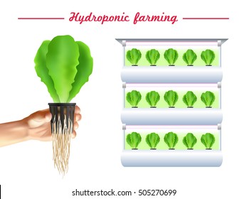 Hydroponics system poster with green plant bed and hand with seedlings on white background vector illustration