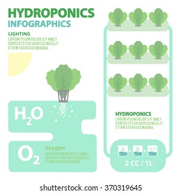 Hydroponics System - Vector Illustration 