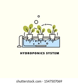 Hydroponics system. Vector illustration in outline style. Home agriculture concept.