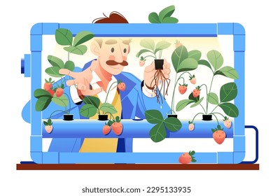 Hydroponics technology for plants growing, vector illustration. A man takes care of strawberries on an artificial farm built on hydroponics technology