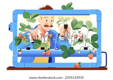 Hydroponics technology for plants growing, vector illustration. A man takes care of strawberries on an artificial farm built on hydroponics technology