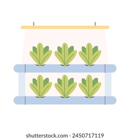 Hydroponics technology for plants growing. Vertical farming. Smart farm. Vector illustration in flat style