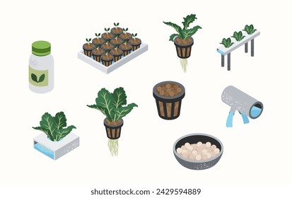 Hydroponics Vector Illustration in Flat Style