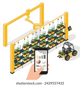 Hydroponics, vertical farm. Isometric vector illustration