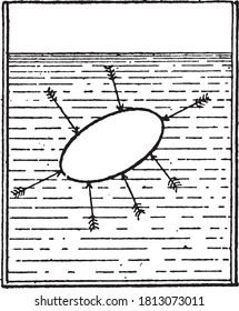 Hydrostatic archimedes principle, From the Dictionary of Word and Things, 1888.