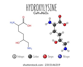 Hydroxylysine amino acid representation. Skeletal formula and 2d structure illustration, isolated on white background. Vector editable