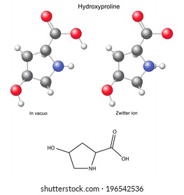 Hydroxyproline (Hyp) - chemical structural formula and models, amino acid, in vacuo, zwitterion, 2D and 3D illustration, balls and sticks, isolated on white background, vector, eps8