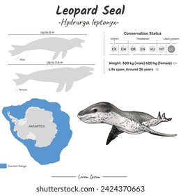 Hydrurga leptonyx Leopard seal rango geográfico. Se puede utilizar para temas como biología, zoología. 
