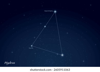 Hydrus constellation featuring labeled stars in a glowing, star filled night sky.