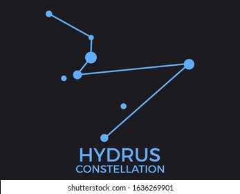 Hydrus constellation. Stars in the night sky. Cluster of stars and galaxies. Constellation of blue on a black background. Vector illustration