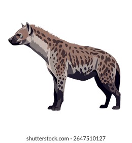 Hyena 2D vector illustration in full body side view, walking pose on white