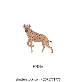 Hyena. African animal. Vector illustration isolated on white background.