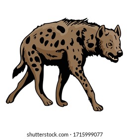 Hyena Animal Cartoon Character Vector Illustration Template Collection