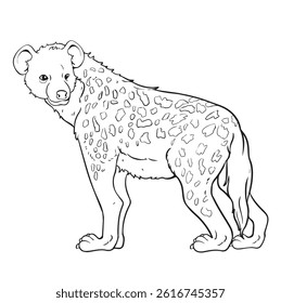hyena animal vector illustration with line art view