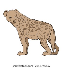 hyena animal vector illustration with original skin