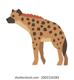 Hyena as Carnivore Mammal with Spotted Coat and Rounded Ears Standing Vector Illustration