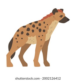 Hyena as Carnivore Mammal with Spotted Coat and Rounded Ears Standing Side View Vector Illustration