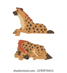 Hyena as Carnivore Mammal with Spotted Coat and Rounded Ears Sleeping and Sitting Vector Set