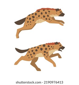 Hyena as Carnivore Mammal with Spotted Coat and Rounded Ears Running Vector Set