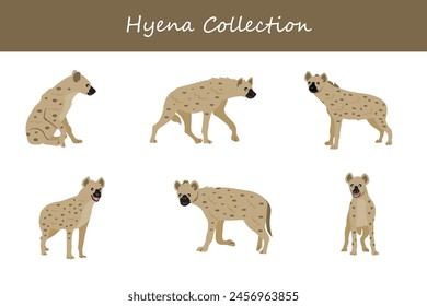 Hyena collection. Hyena in different poses. Vector illustration.