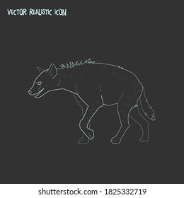 Hyena icon line element. Vector illustration of hyena icon line isolated on clean background for your web mobile app logo design.