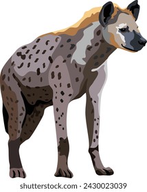 Hyena Mammal Animal Vector Illustration