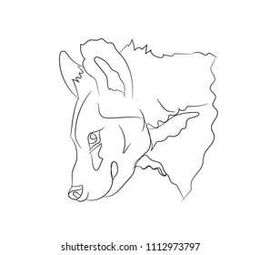 hyena portrait, lines, vector, white background