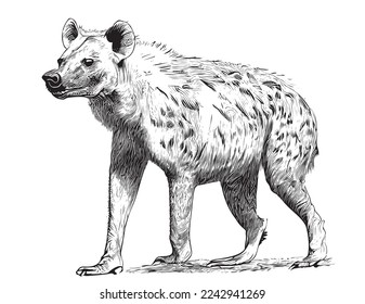 Esbozo dibujado a mano en posición de Hyena Ilustración vectorial