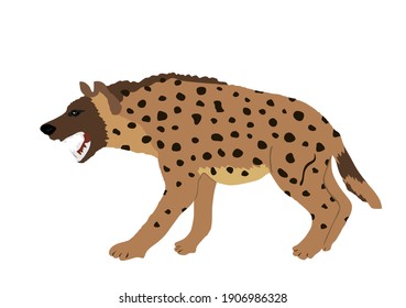 Hyena vector illustration isolated on white background. Wild animal from Africa. Scary predator. Safari wildlife member. Angry beast scavenger.