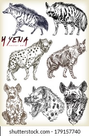 hyena vector sett