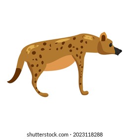 Hyena wild african animal, scavenger predator. Vector illustration cartoon style