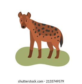 Hyena, wild African carnivore. Hyaena, savanna habitat. Crocuta with spotted fur. Africa wildlife. Savannah mammal. Flat vector illustration isolated on white background