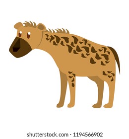 Hyena wild animal