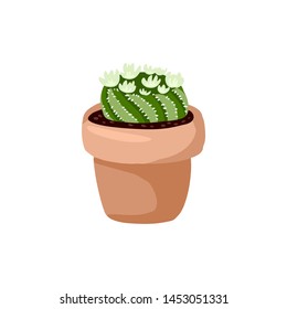 Hygge potted cactus plant. Cozy lagom scandinavian style succulent image