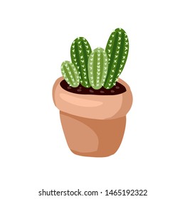 Hygge potted cactus plant. Cozy lagom scandinavian style succulent image