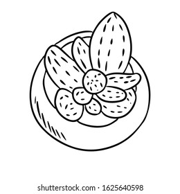 Hygge potted cactus plant doodle top view. Comic style cozy lagom scandinavian style succulent isolated art