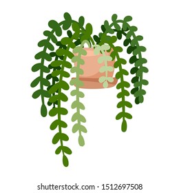 Hygge potted ivy plant. Cozy lagom scandinavian style plant image