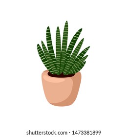 Hygge potted succulent plant. Cozy lagom scandinavian style plant image