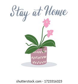 Hygge Scandinavian Potted Urban Plants Hand Drawn Collection. Home Jungle Cactus Flowers Doodle Vector Illustration.