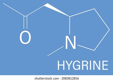 Hygrine coca alkaloid molecule. Skeletal formula.	