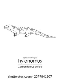 Hylonomus, the oldest reptile (stem tetrapod) without any doubt, creature from the Carboniferous Period, black and white line art illustration. Ideal for coloring and educational purposes