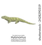 Hylonomus, the oldest reptile without any doubt, a stem tetrapod from the Carboniferous Period. Colorful illustration on a white background