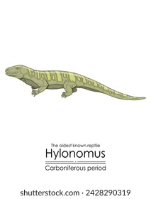 Hylonomus, the oldest reptile without any doubt, a stem tetrapod from the Carboniferous Period. Colorful illustration on a white background